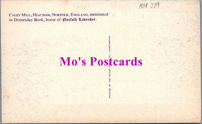 Norfolk Postcard - Caley Mill, Heacham, Home of Norfolk Lavender  HM229