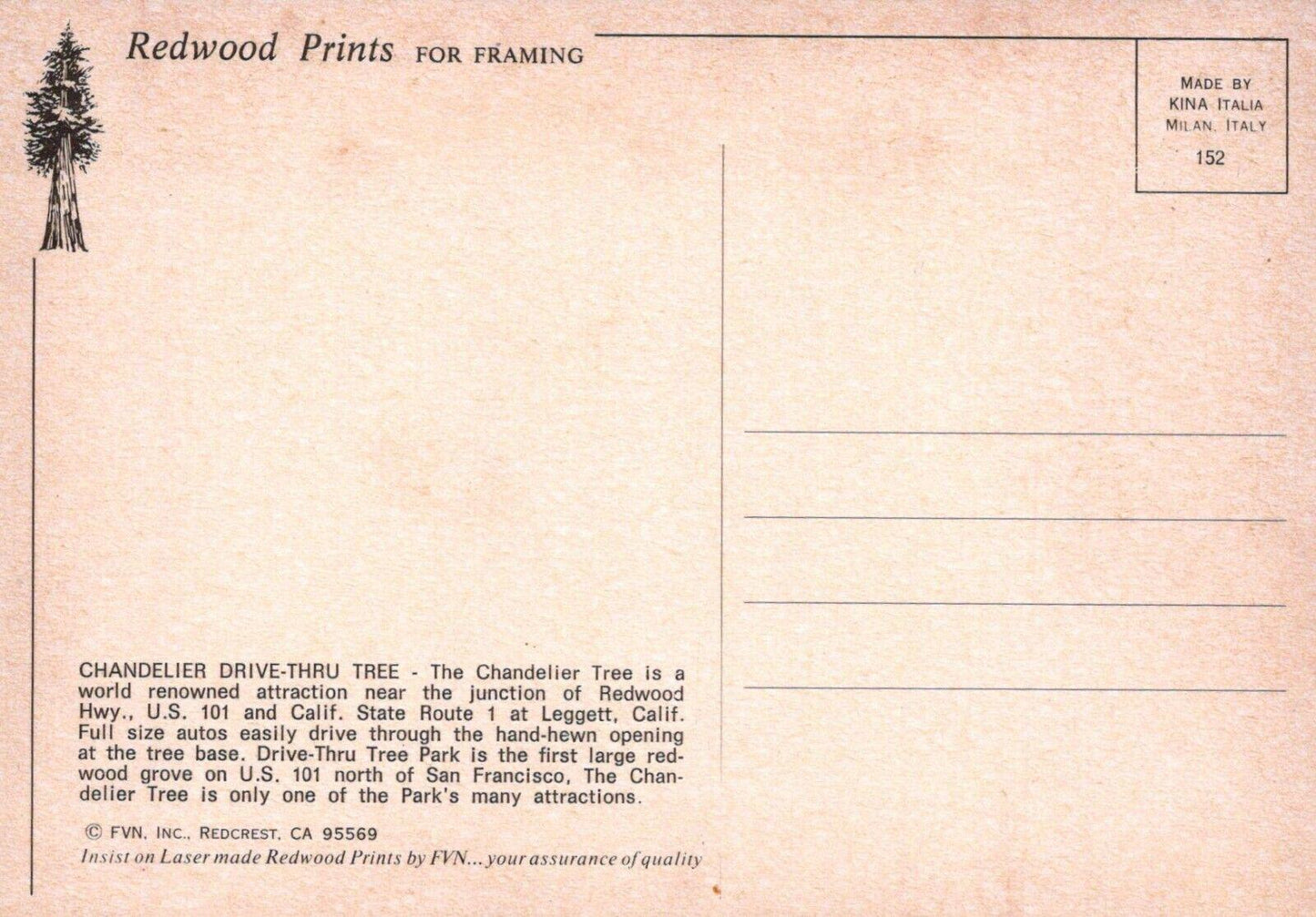 America Postcard - Chandelier Drive-Thru Tree, Leggett, California  RRR92