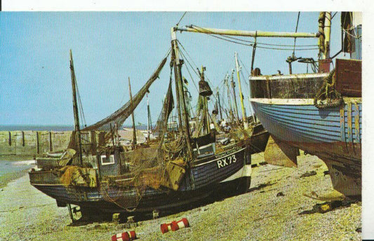 Sussex Postcard - Fishing Fleet, Hastings  6838A