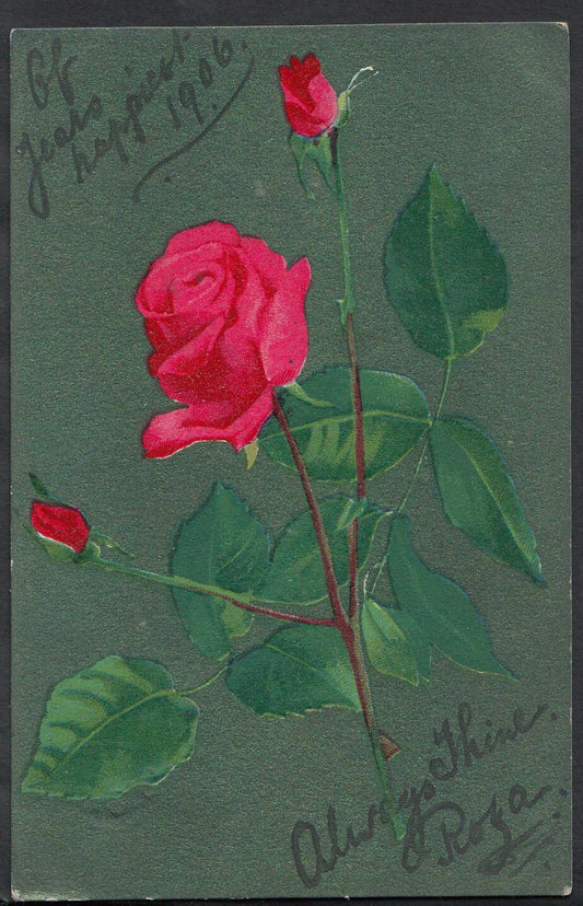Greetings Postcard - Flowers, Roses   RS1410
