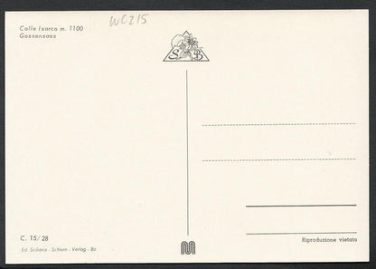 Italy Postcard - Colle Isarco m.1100, Gossensass   WC215