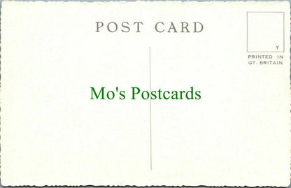 Wales Postcard: Bodfach Hall, Llanfyllin, Montgomeryshire, Powys RS28684