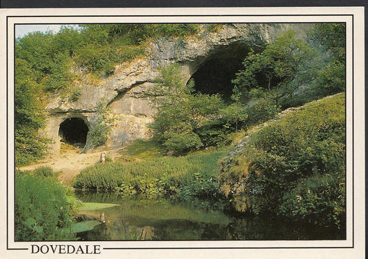 Derbyshire Postcard - The Dove Holes, Dovedale   WC31