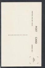 Load image into Gallery viewer, Somerset Postcard - Niagara Falls in Winter, Gough's Caves, Cheddar  RS20364
