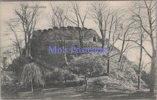 Devon Postcard - Totnes Castle. Posted 1915 - DC1990