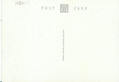Wales Postcard - Betws-y-Coed, Waterloo Bridge   AB601