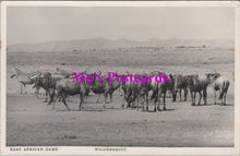 Load image into Gallery viewer, Animals Postcard - East African Game, Wildebeeste   HM145
