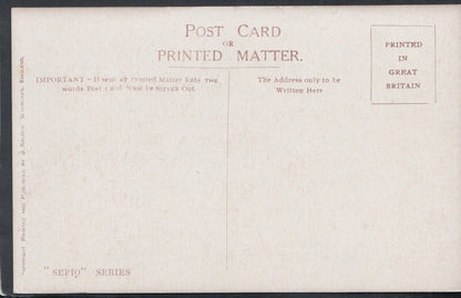 Worcestershire Postcard - St Anns' Well, Great Malvern     RS11410