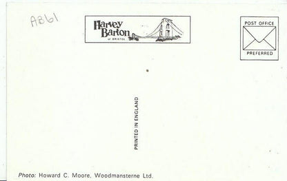 Wales Postcard - Harbour from The North Cliff, Tenby, Pembrokeshire  AB61