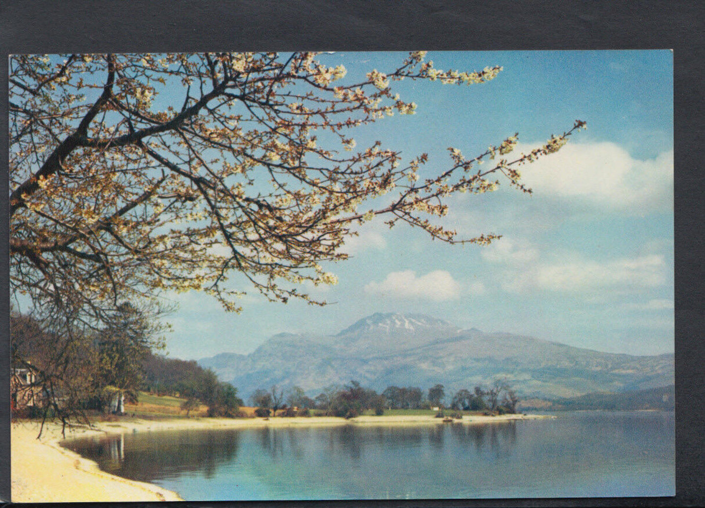 Scotland Postcard - Loch Lomond & Ben Lomond From Luss  RR4796