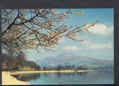 Scotland Postcard - Loch Lomond & Ben Lomond From Luss  RR4796