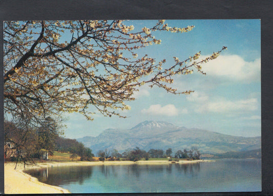 Scotland Postcard - Loch Lomond & Ben Lomond From Luss  RR4796