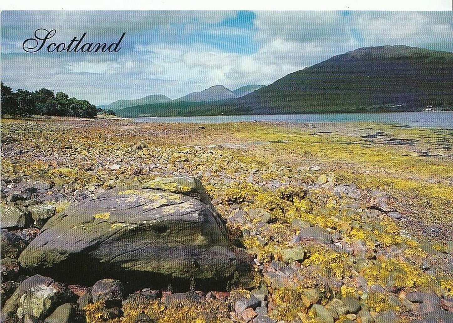 Scotland Postcard - The Majestic Loch, Scottish Countryside   AB882