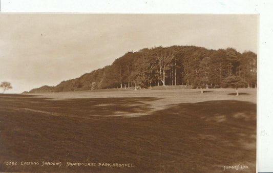 Sussex Postcard - Arundel, Swanbourne Park, Evening Shadows   ZZ3973