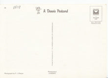 Load image into Gallery viewer, Devon Postcard - The Clapper Bridge at Postbridge, Dartmoor  EB118
