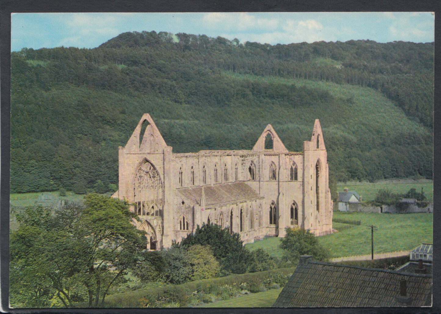 Wales Postcard - Tintern Abbey From Chapel Hill  RR5730