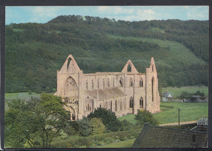 Wales Postcard - Tintern Abbey From Chapel Hill  RR5730