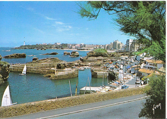 France Postcard - Vue d'Ensemble Sur Biarritz Et Le Port Des Pecheurs   SM140