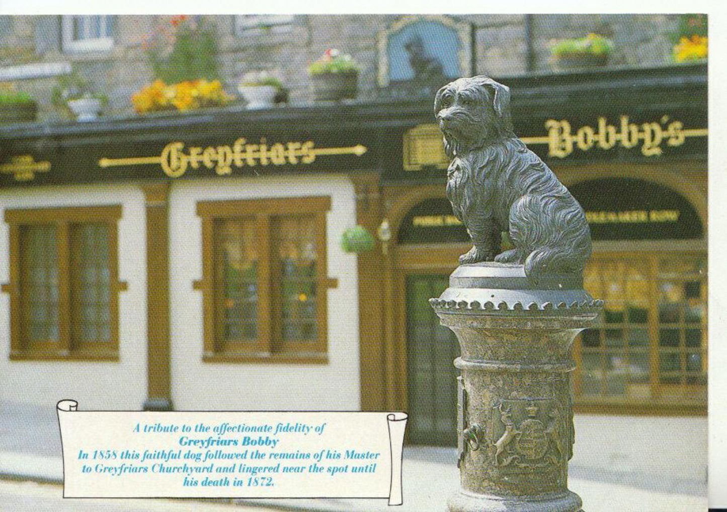 Scotland Postcard - Greyfriars Bobby Dog, Edinburgh   20828A
