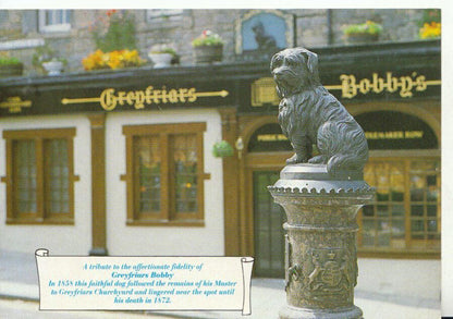 Scotland Postcard - Greyfriars Bobby Dog, Edinburgh   20828A