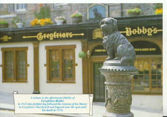 Scotland Postcard - Greyfriars Bobby Dog, Edinburgh   20828A
