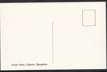 Hampshire Postcard: Swimming Pool, Forest Mere, Liphook  MB424