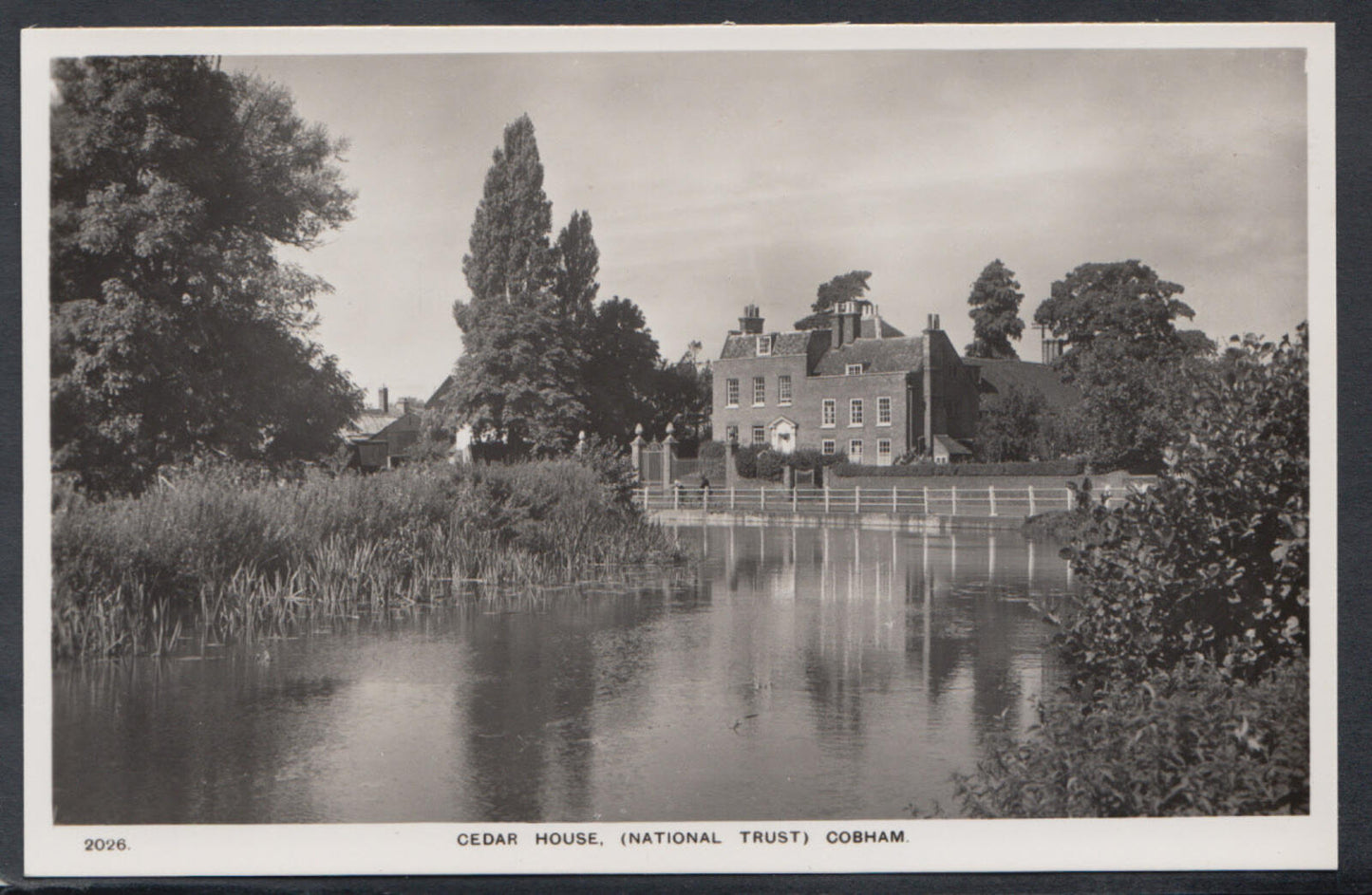 Surrey Postcard: Cedar House National Trust Cobham River Mole View RT2450
