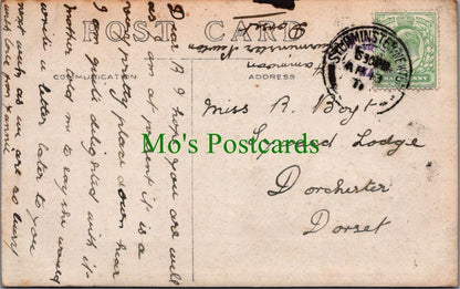 Dorset Postcard?: Detached House, Posted From Sturminster Newton SW10461