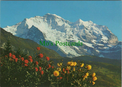 Switzerland Postcard - Die Jungfrau, Bernese Alps  RR12010