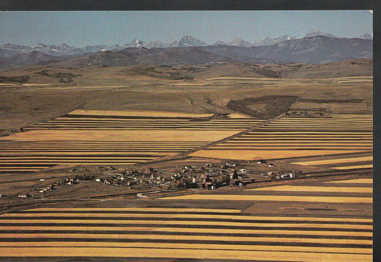 Canada Postcard - Strip Farming in The Rocky Mountain Foothills, Alta  WC389