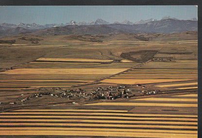 Canada Postcard - Strip Farming in The Rocky Mountain Foothills, Alta  WC389