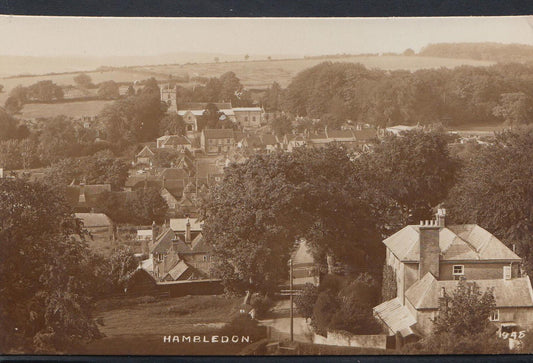 Hampshire Postcard: Hambledon Village Aerial Overview Church 1920s RPPC BH1220