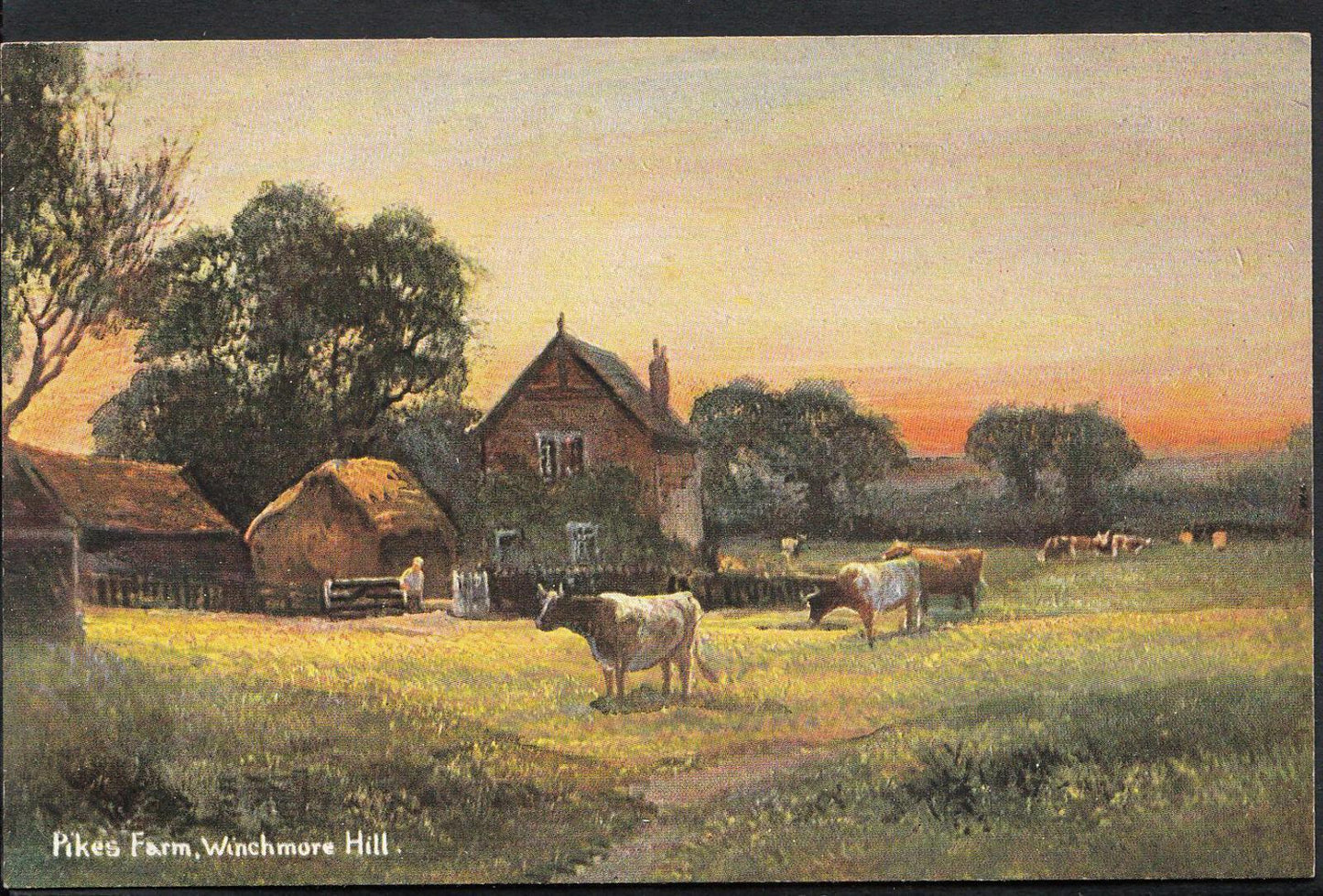 Middlesex Postcard: Pikes Farm Winchmore Hill Cows Enfield Painted Art  MB769