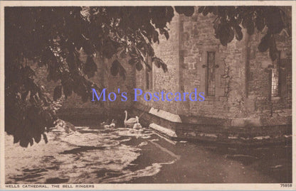 Somerset Postcard - Wells Cathedral, The Bell Ringers   DC2050