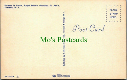 West Indies Postcard - Royal Botanic Gardens, St Ann's, Trinidad  RS26154
