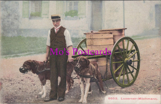 Animals Postcard - Dog Cart, Swiss Milkman, Luzerner-Milchmann  DZ333