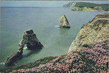 Load image into Gallery viewer, Isle of Wight Postcard - Freshwater Bay, The Arch and Stag Rock RRR1410
