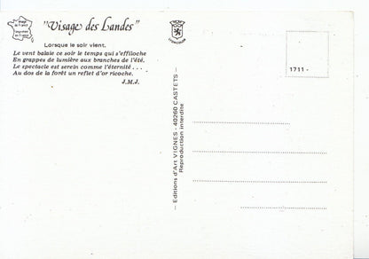 France Postcard - "Visage Des Landes" - Lorsque ie Soir Vient  SM389