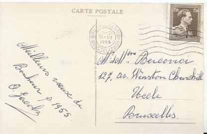 French New Year Violets Mimosa Flowers Winter Snow Scene Bonne Année Postcard TZ1828