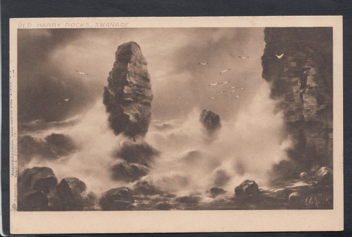 Dorset Postcard - Old Harry Rocks, Swanage    RS14629