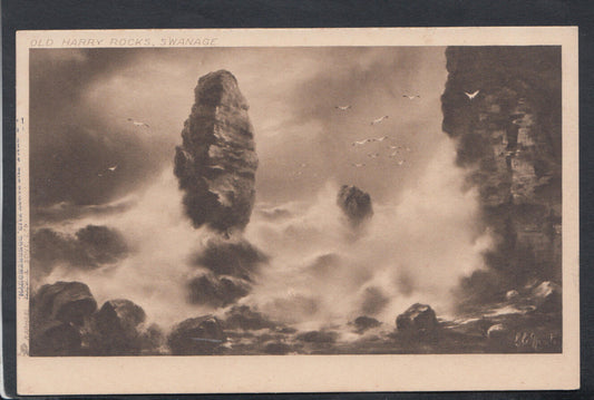 Dorset Postcard - Old Harry Rocks, Swanage    RS14629