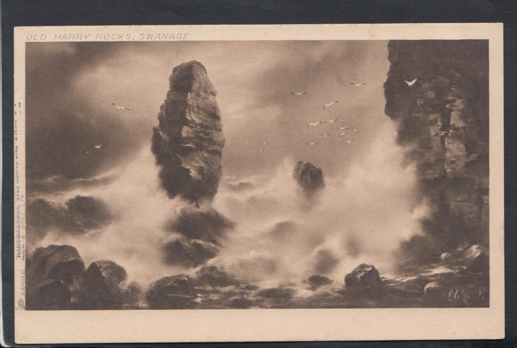Dorset Postcard - Old Harry Rocks, Swanage    RS14629