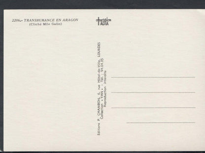 France Postcard - Transhumance En Aragon - Cliche Mlle Galin RR4918