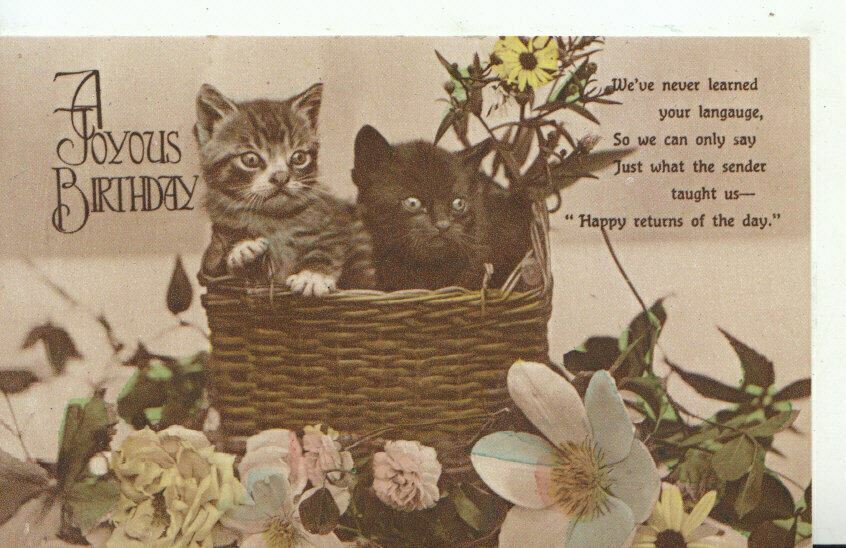 Cute Kittens in Basket Greeting Postcard Tabby Black Cats Flowers 1918 11409A