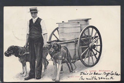 Switzerland Postcard: Luzern Milchmann Dog Cart Milkman 1904 T6632