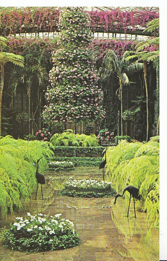 America Postcard - Longwood Gardens - Kennett Square, Pennsylvania   SL400