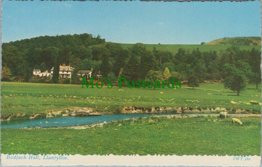 Wales Postcard: Bodfach Hall, Llanfyllin, Montgomeryshire, Powys RS28684