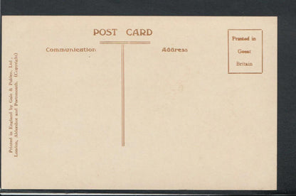 Middlesex Postcard - The Maze, Hampton Court Palace   RS9958