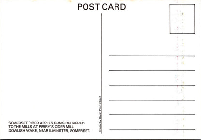 Somerset Postcard: Dowlish Wake Perrys Cider Mill Apple Harvest 1980s XT5119
