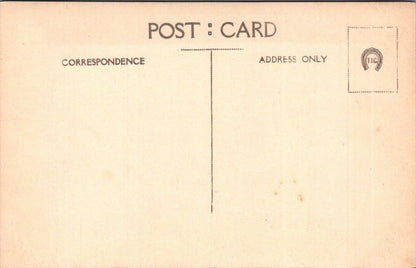 Social Postcard: 1920s Wedding Bride Groom Fashion Garden Party 1927 XT5335